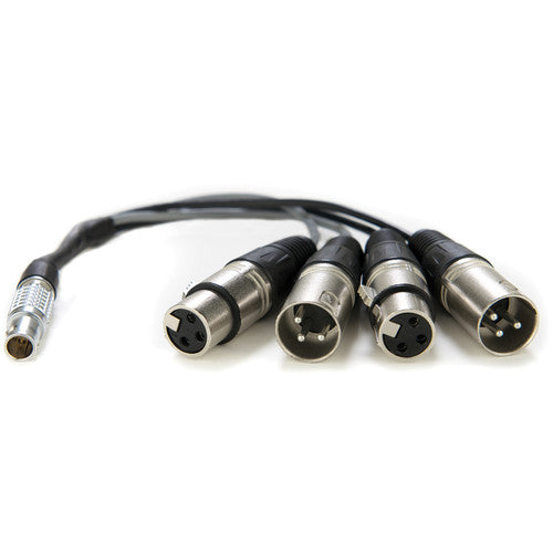 Atomos 10-Pin LEMO Type to XLR Breakout Cable for Shogun