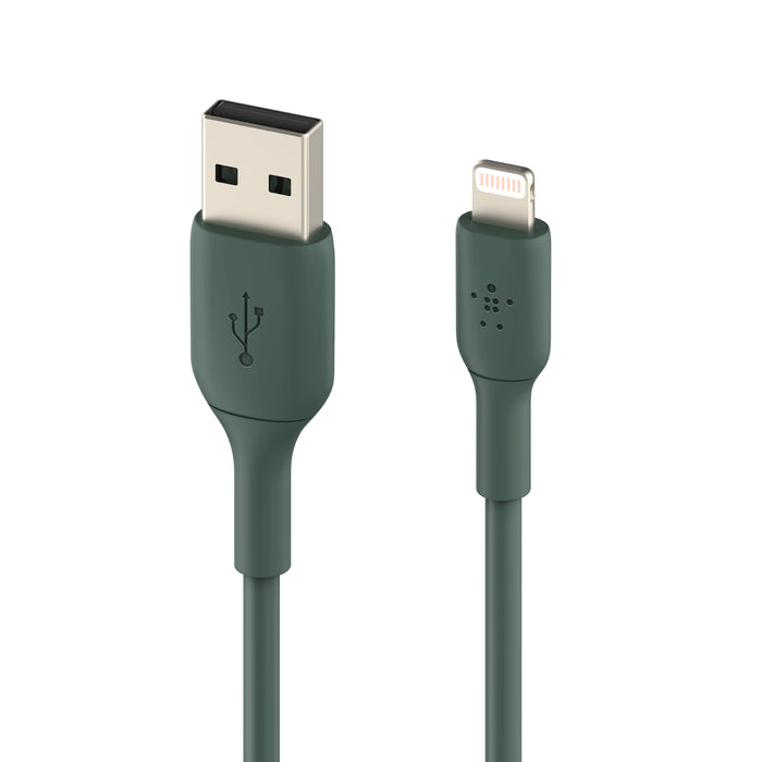 Belkin Lightning to USB-A Cable
