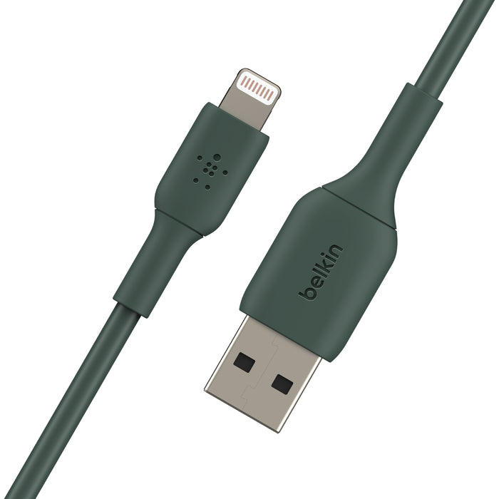 Belkin Lightning to USB-A Cable