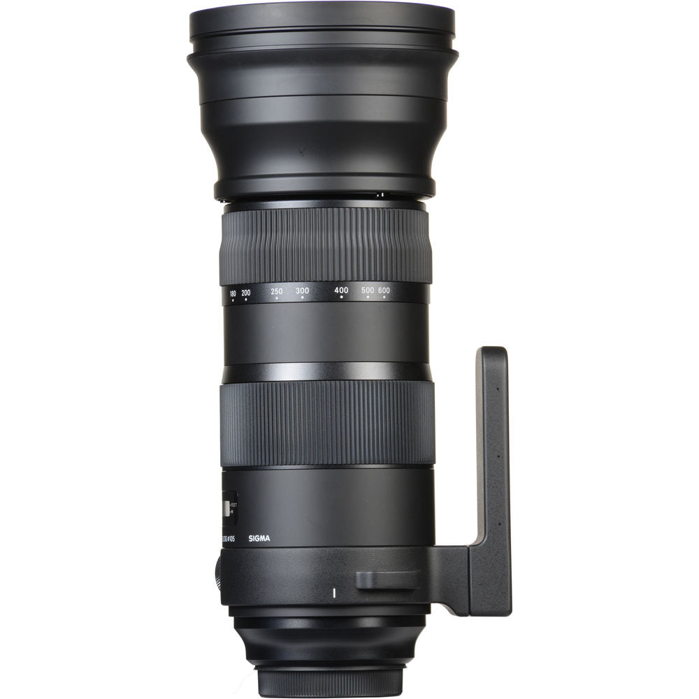 Sigma 150-600mm f/5-6.3 DG OS HSM Sports Lens